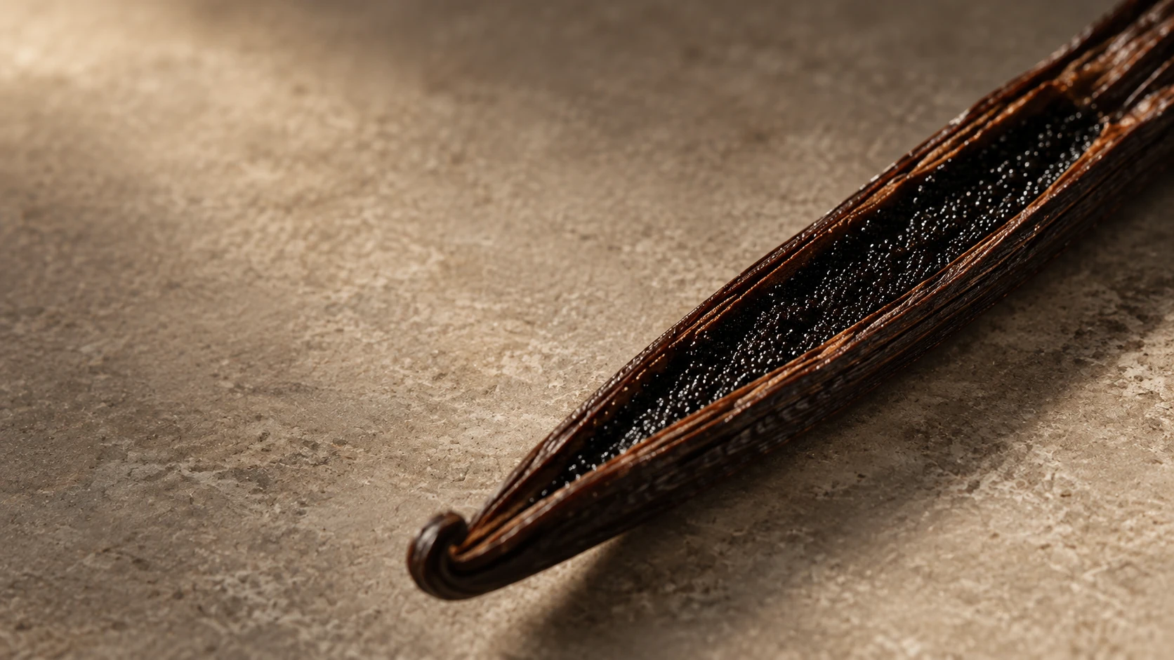 Detail otevřeného vanilkového lusku plného semínek
